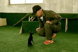 宠物狗狗好动怎么办？老李教你一个指令，三天让狗狗淡定脱变视频封面