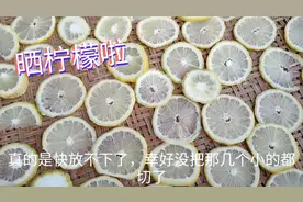 自制柠檬片，小欧分享柠檬片制作过程，晒干泡水喝作用大