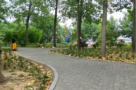 永城沱滨植物园。视频封面