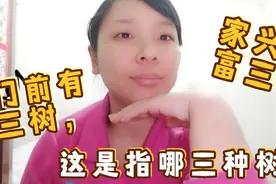 俗语：门前有三树，家兴富三代，这是指哪三种树？视频封面