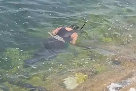 海边扎猛子的大哥