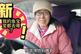 孔雀鱼莫名减少，说出原因你可能不信，鱼类也不能近亲结婚