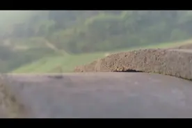 看沙雕怎么给沙雕朋友过生日，乡下的清晨真美好啊！视频封面