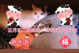正月初二回娘家，拜年说点吉祥话，那么用诗词该怎么拜年呢视频封面