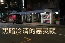 冷清无聊的年三十夜晚！海上漂流横渡新西兰南北岛，漆黑的惠灵顿视频封面