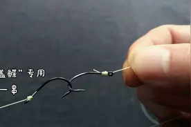 春天海钓季要到了，三月份用这种钓组最带劲，专钓大比目鱼视频封面