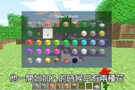 我的世界：鲜花的发展历史！你绝对想不到花在最早是做这个用的！