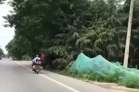 宁愿死在外面也不死在家里：西安7旬爷爷对抗癌症6年骑摩托旅游视频封面