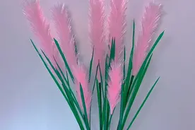 用丝带来做一束粉嫩嫩的狗尾巴草，放在房间太温暖了，成品美美哒