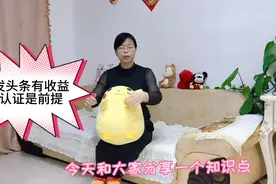 一步步教你如何开通头条的身份认证 ，零基础学习自媒体