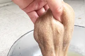 揭秘“水拉饵”，破解鱼饵水母粉的原料，钓鱼人会惊奇