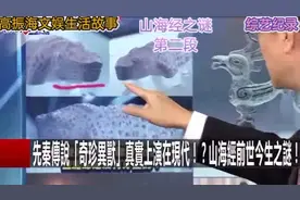 台湾大兴综艺关键时刻2视频封面