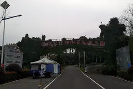武汉江夏区――梁湖农庄旅游休闲度假区视频封面