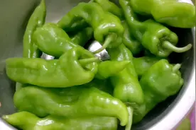 爱吃辣椒的一定要收藏这个视频，辣椒这样炒，不放肉也很美味视频封面