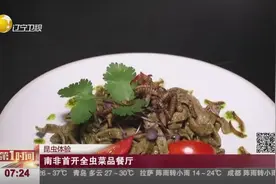 南非首开全虫菜品餐厅，你敢来尝么？视频封面