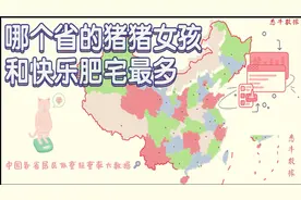 哪个省的猪猪女孩和快乐肥宅最多 | 中国各省肥胖率揭秘 | 悉牛视频封面