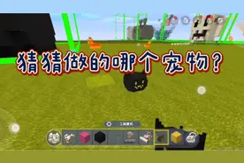 迷你世界：制作家园宠物小黑猫