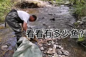 东北冷水鱼这几种常见，最鲜最贵要100元1斤，不用钓鱼就能吃到视频封面