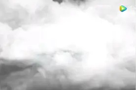 原武汉病毒研究所石正丽，关于2002年SARS病毒宿主源于蝙蝠的演讲视频封面