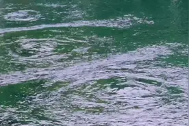 连续多天降雨，济南泉水满血复活，这个公园又恢复了往日生机视频封面