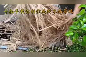 农村小伙将水泥池改造成植物水池景观，养些锦鲤，太好看了视频封面
