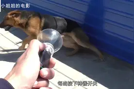 国外小伙用塑料瓶制作驱狗神器，按下开关，来10条恶犬都不用害怕