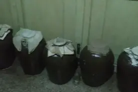 温州本地纯大米酒，10元一斤真的便宜。视频封面