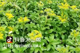 宁夏博城军事化教育培训机构视频封面