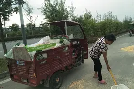 湖北襄阳：玉米晾晒好就直接拉去卖。农村大妈告诉你最新收购价格视频封面