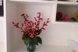 DIY手工花红豆视频封面