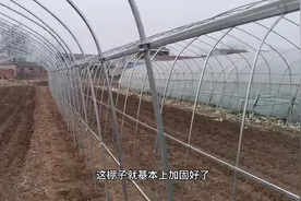 农村胖哥继续对大棚加固，用青竹竿做抗风斜撑，大家觉得可行吗