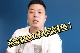 银鳕鱼和真假鳕鱼你分清了吗？送大家一个表格以后再也不会买错了