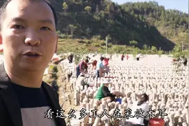 30多位农村妇女家门口就业，既拿工资又能照顾家庭，一举两得视频封面