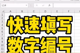 快速填写数字编号～