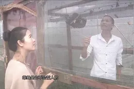 美女记者带你了解马蜂:技高人胆大 靠山吃山 养蜂吃蜂1