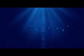 环球华夏小姐全球宣传片视频封面