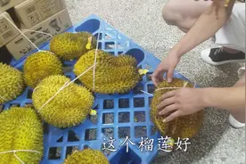 水果店榴莲熟透了怎么办？看小伙用这个办法就完美解决了