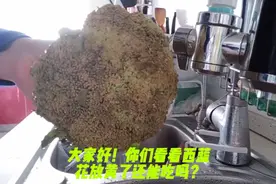 西蓝花发黄了还能吃吗？