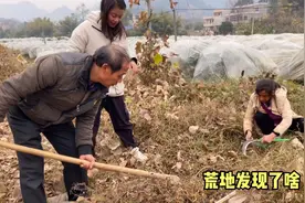 湖南姑娘拿锄头下地干活，婶婶在荒地发现了啥，看她挖得真过瘾视频封面