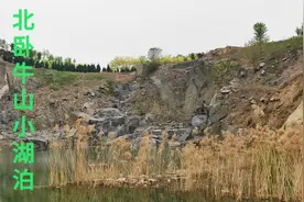 济南华山公园很早就有一个小湖泊，在北卧牛山北侧，很不错