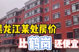 黑龙江省第一大镇鹤立镇房价，比鹤岗房价还便宜，听当地人怎么说视频封面