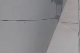小燕子的新家龙口视频封面