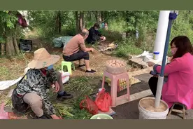 荆楚最美乡镇武汉五里界摘草莓挖野笋，路边大爷连杀三鸡，真馋人视频封面