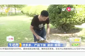 男子从拼多多上购买车载冰箱，收货后却傻了眼：一点都不敢用！