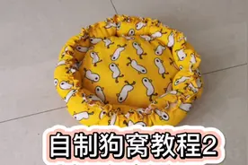 自制狗窝教程，不用再花钱买啦！好看又实惠！