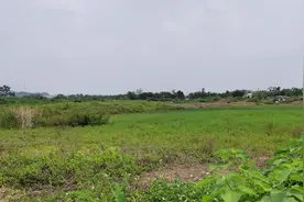 广东佛山市顺德区，一个比较偏僻的小镇，现在开发，河水严重污染视频封面