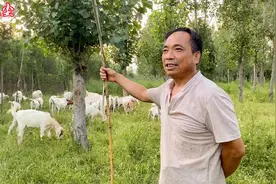 天气炎热，羊要补充足够的水，一只羊一天需要多少水你清楚吗？视频封面