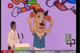 第十四届全运会吉祥物揭晓，以陕西独有的国宝级动物为原型设计视频封面