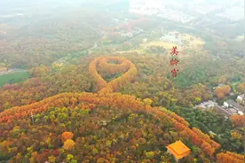 航拍南京美龄宫，蒋介石为宋美龄种的梧桐项链