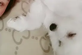 睡觉还翻白眼视频封面